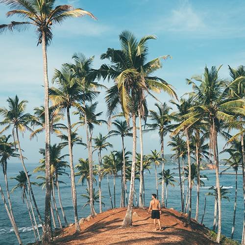 Srilanka