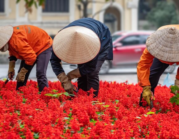 🇻🇳 Vibrant Vietnam Voyage